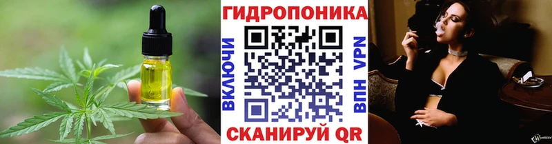 продажа наркотиков Лермонтов darknet состав Печенье с ТГК конопля kraken tor