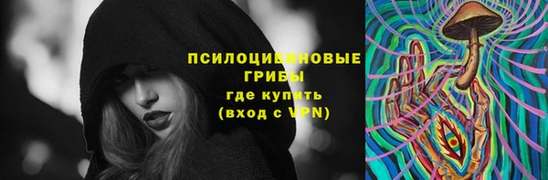 spice Алексеевка