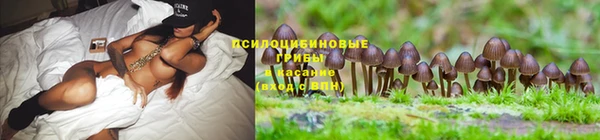 spice Алексеевка