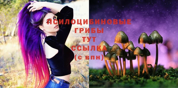 spice Алексеевка