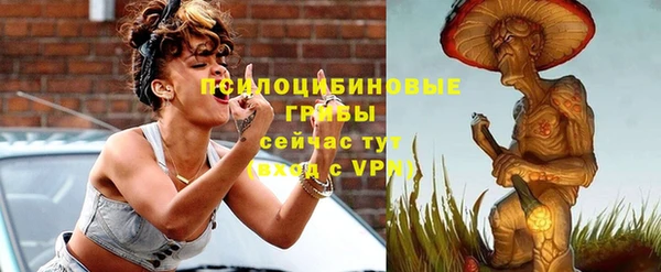 a pvp Алзамай