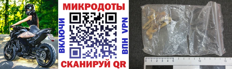 Псилоцибиновые грибы Cubensis купить цена hydra рабочий сайт Лермонтов